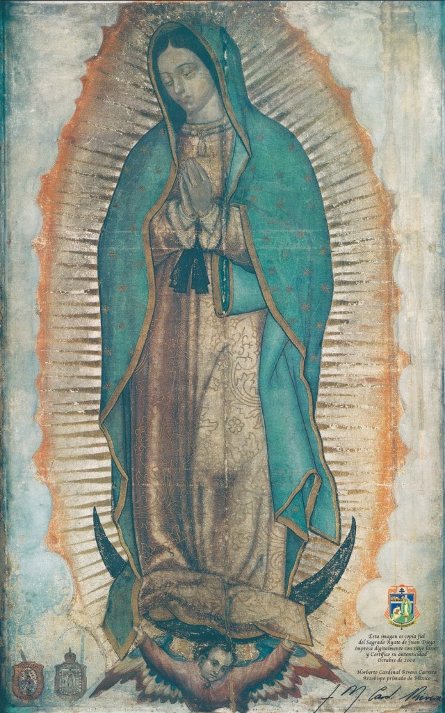 VIRGEN DE GUADALUPE